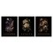 Stupell Industries Antique Botanical Herb Bushels 3pc Framed Giclee Set, design by Christopher Giampietro